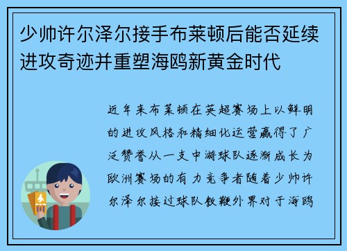 少帅许尔泽尔接手布莱顿后能否延续进攻奇迹并重塑海鸥新黄金时代 少帅许尔泽尔接手布莱顿后能否延续进攻奇迹并重塑海鸥新黄金时代