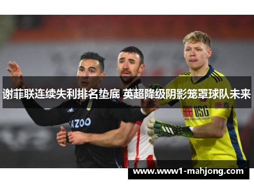 谢菲联连续失利排名垫底 英超降级阴影笼罩球队未来 谢菲联连续失利排名垫底 英超降级阴影笼罩球队未来