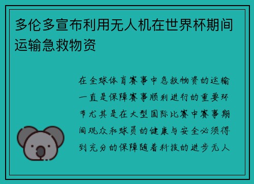 多伦多宣布利用无人机在世界杯期间运输急救物资